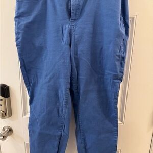 Talbots Light Blue Jeggings Curvy